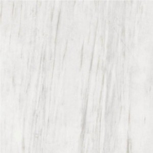 Gạch lát sàn Trường Thịnh COOLSTONE C96860P